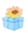 Birthday